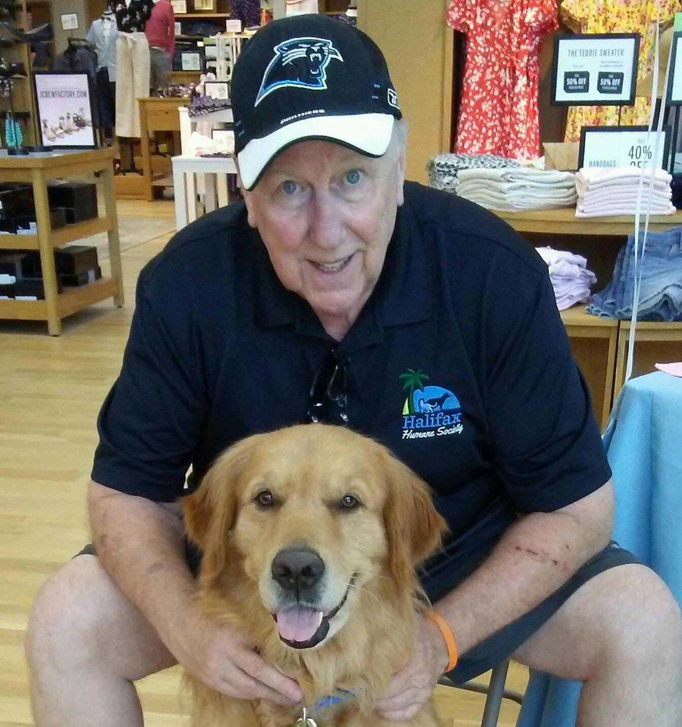 can i get my dog spayed while she's in heat